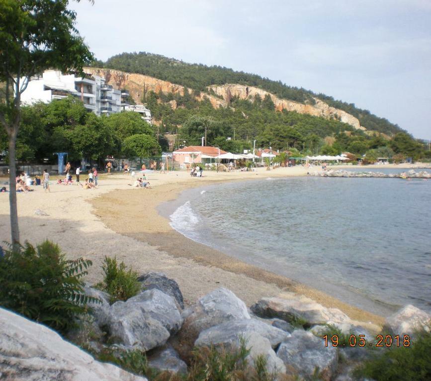 Aristi'S House Apartment Volos Luaran gambar