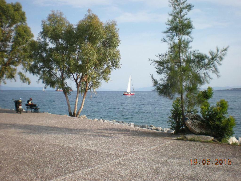 Aristi'S House Apartment Volos Luaran gambar